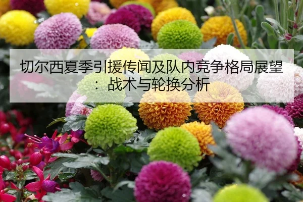 切尔西夏季引援传闻及队内竞争格局展望：战术与轮换分析
